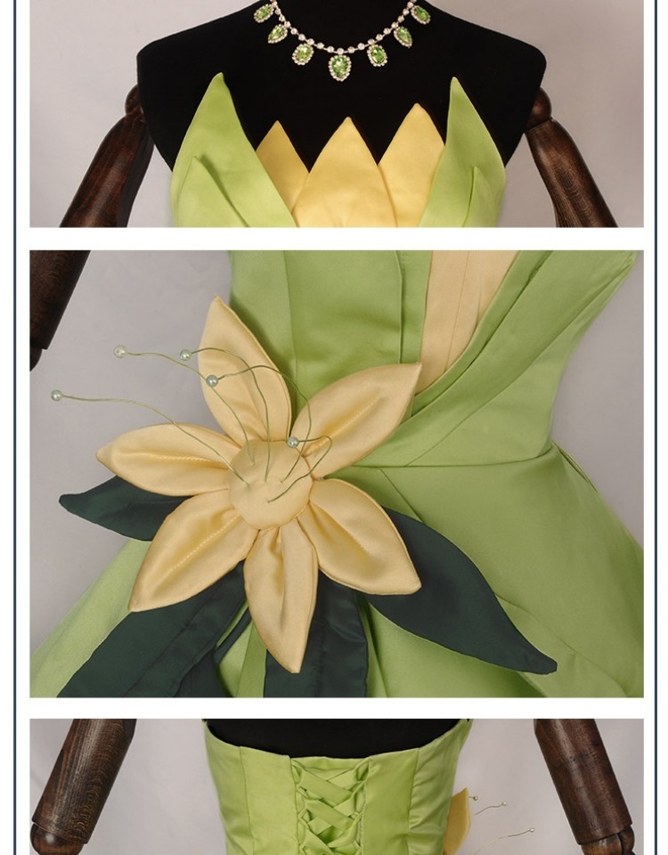 Robe de princesse Tiana, Costu - Men'S Accessories For Christmas avis et prix
