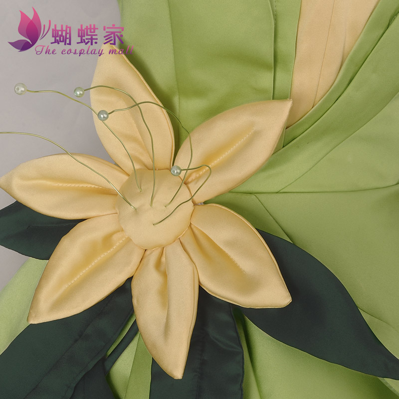 Robe de princesse Tiana, Costu - Men'S Accessories For Christmas avis et prix